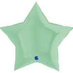 Stern Mint Pastell