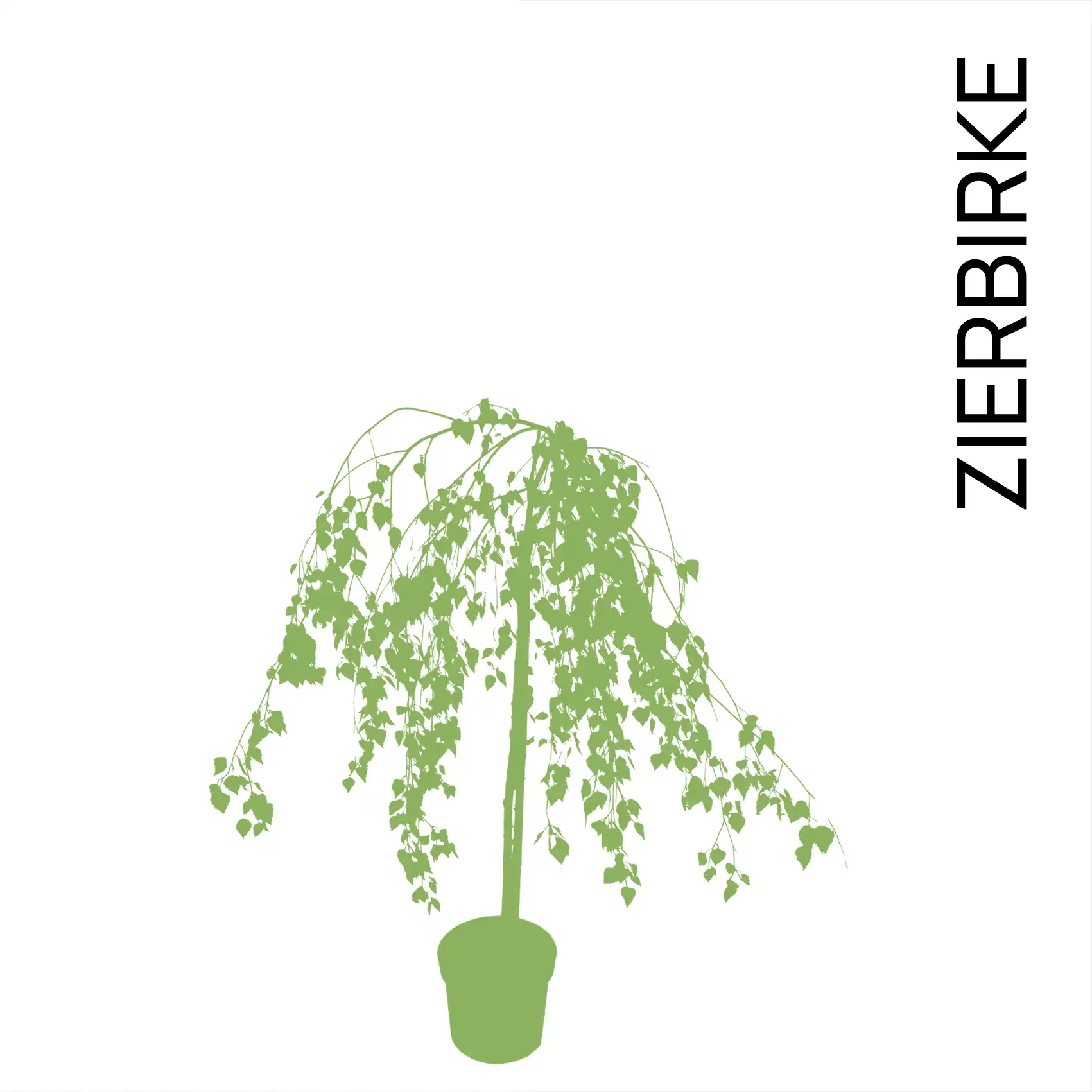 Maibaum im Topf - Individuell gestaltbar – Wähle Bänder, Ballon und Wunschtext! – Bild 5